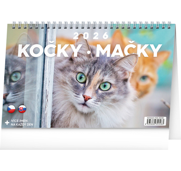  Stolní kalendář Kočky Mačky CZ/SK 2026 23,1x14,5cm