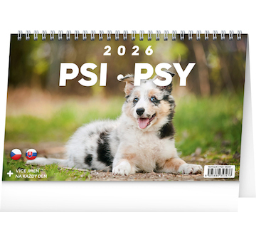  Stolní kalendář Psi Psy CZ/SK 2026 23,1x14,5cm